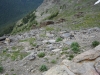 Trail Ridge Road Rocky Mt Nat Park - 05_1