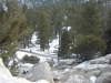 Palm Springs Aerial Tram - 67